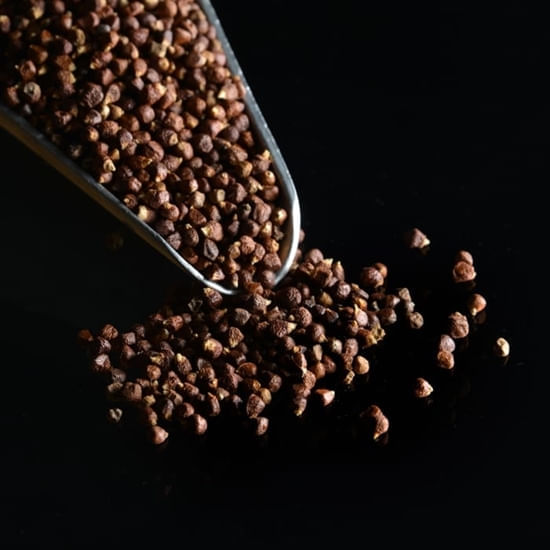 Grains of Paradise (whole) 1 lb