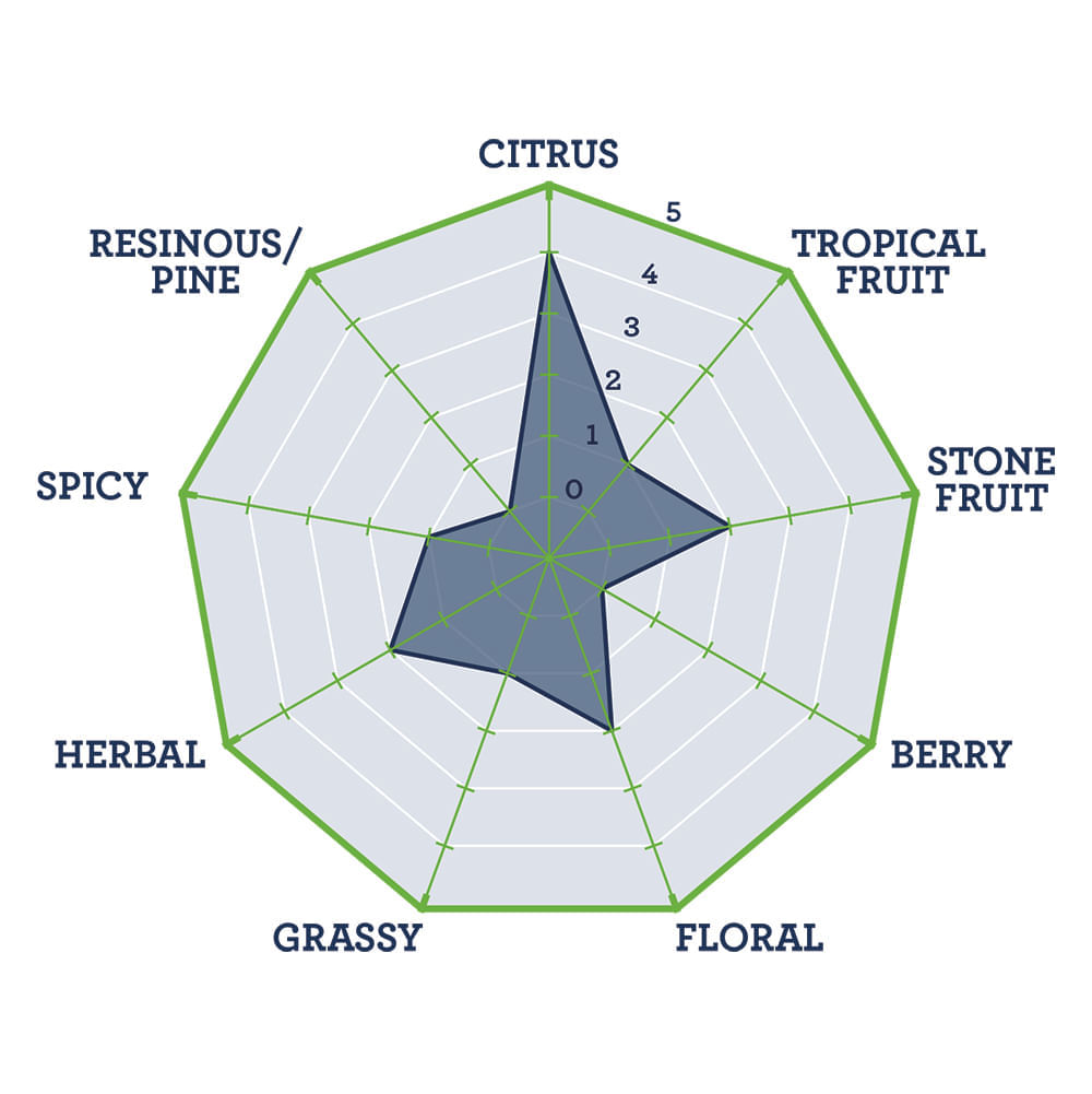 TNS HopBurst ® Amarillo Hop Oil 1L