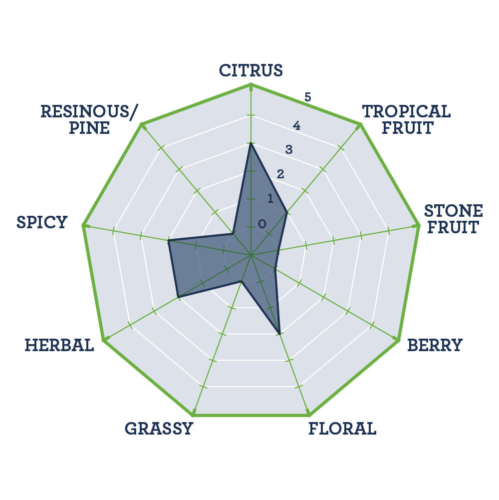 TNS HopBurst ® Cascade Hop Oil 1L