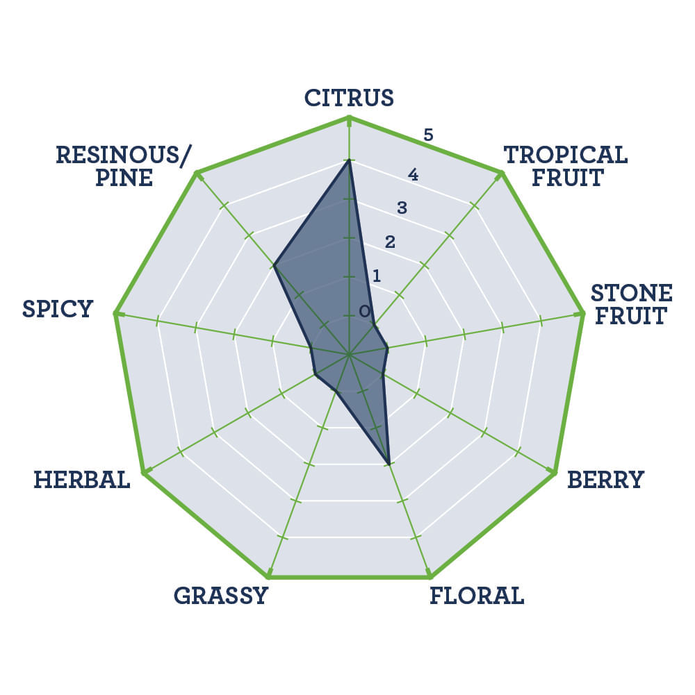 TNS HopBurst ® Centennial Hop Oil 1L