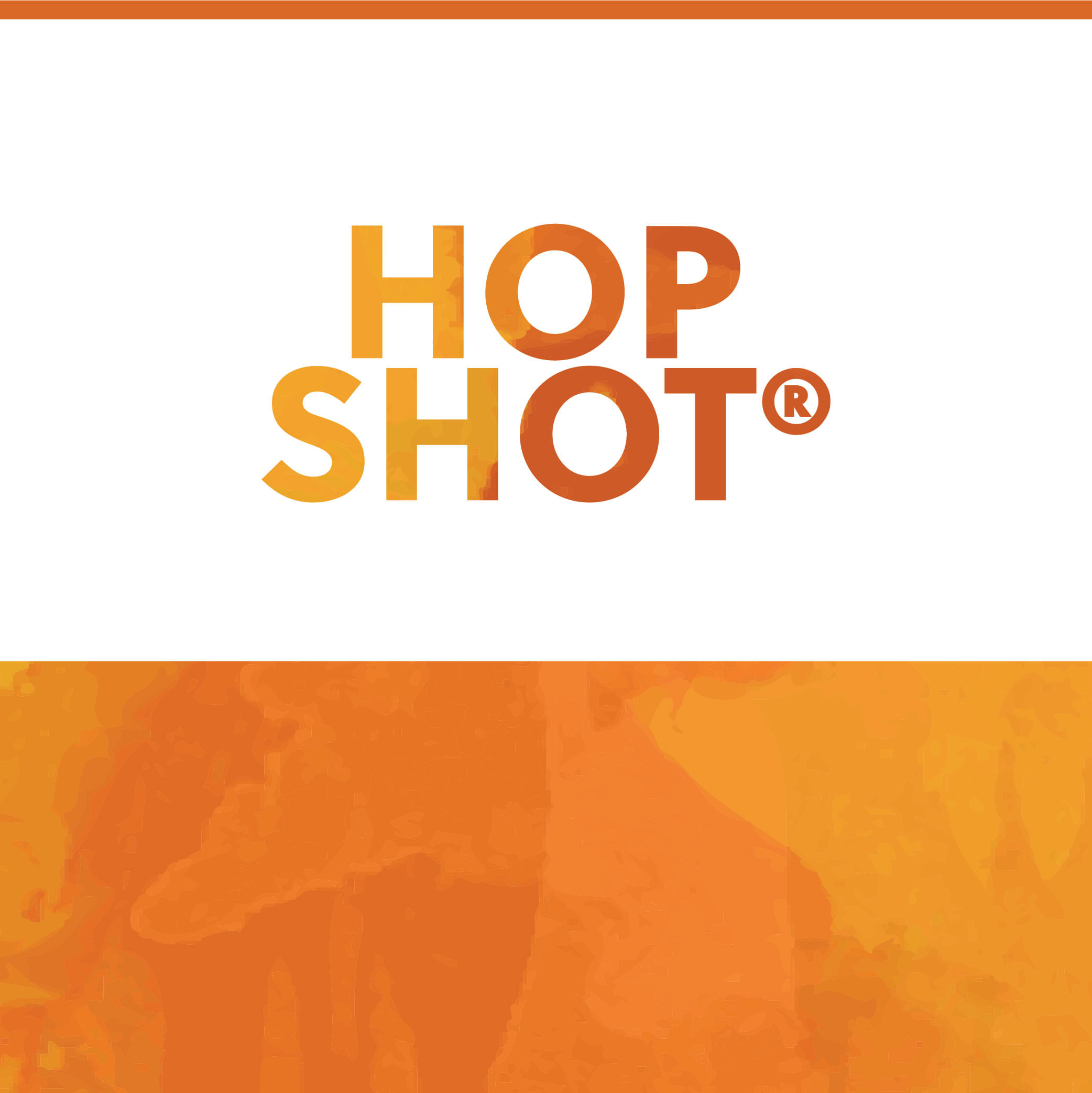 TNS HopShot ® Lager 1L