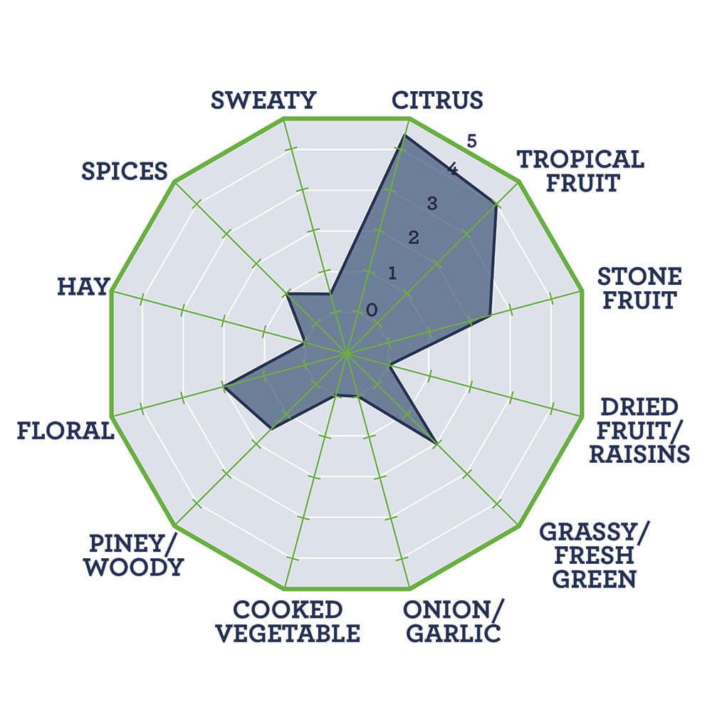 TNS HopBurst ® Nectaron ® Hop Oil 1L