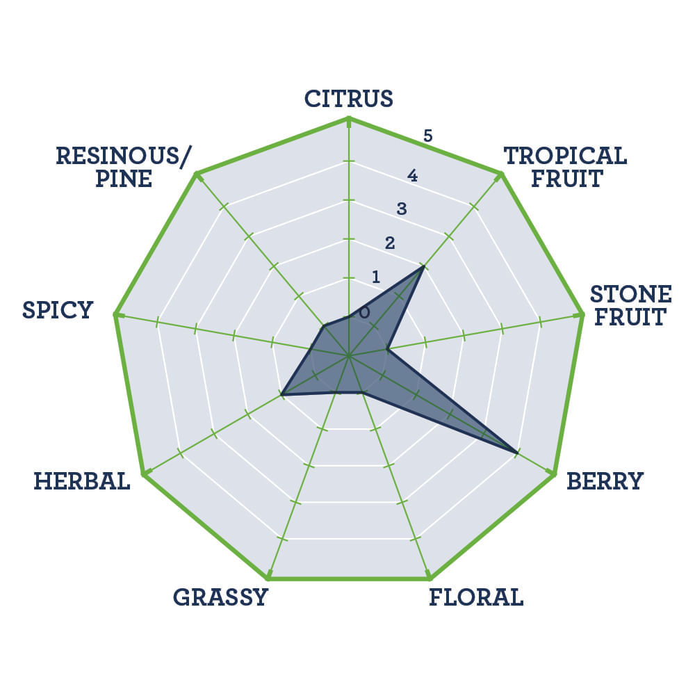 TNS HopBurst ® Nelson Sauvin Hop Oil 1L