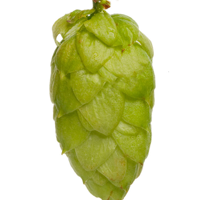 Riwaka ™ Hop Pellets 11 lb