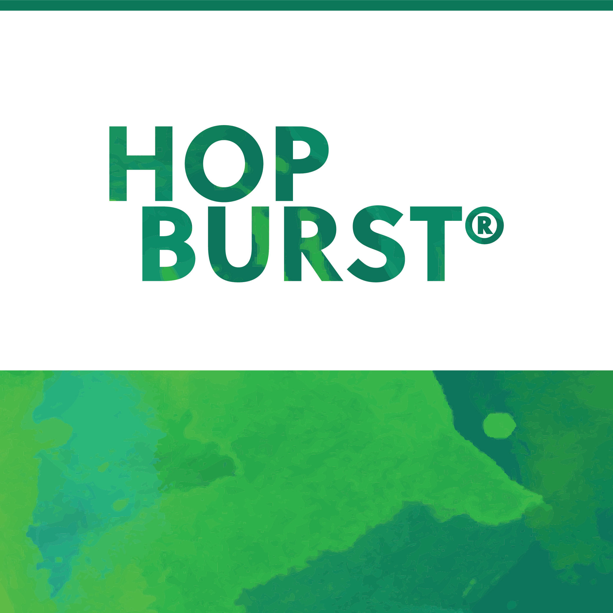 TNS HopBurst  ® Wai-iti ™ Hop Oil 1L