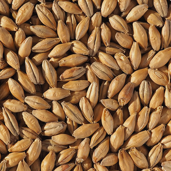 Crisp Clear Choice ® Malt 55 lb