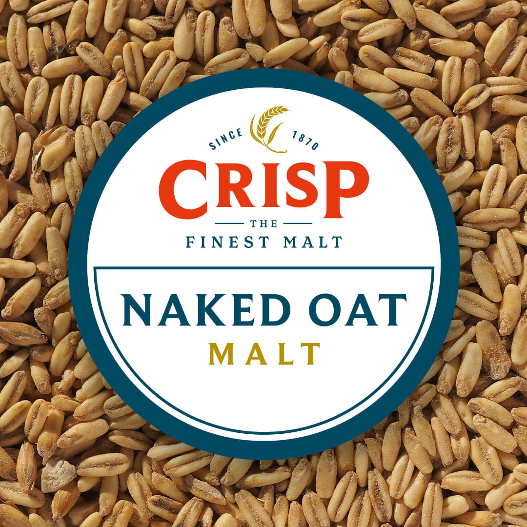 Crisp Naked Oat Malt 55 lb