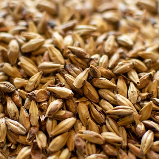 Dingemans Aroma 60 55 lb