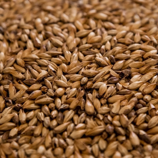 Dingemans Cara 45 55 lb