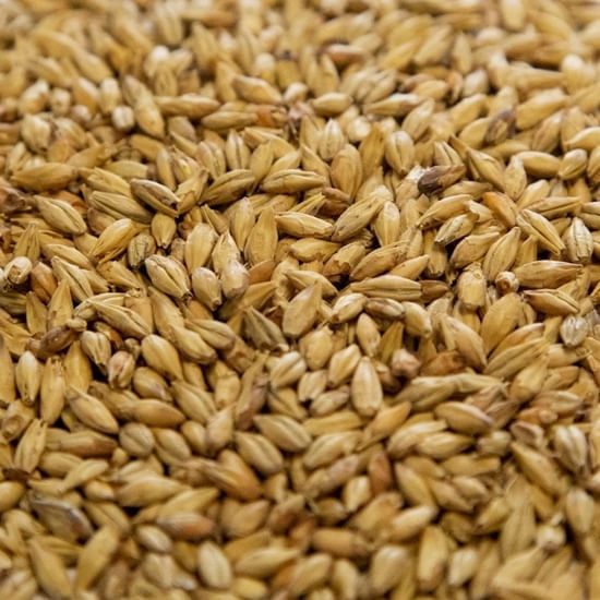 Dingemans Munich Malt 55 lb