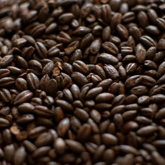 Dingemans De-Husked Roasted Barley 55 lb