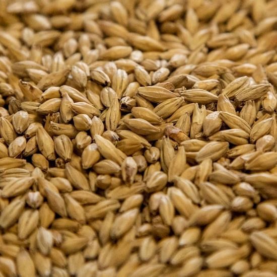 Dingemans Organic Pale Ale 55 lb