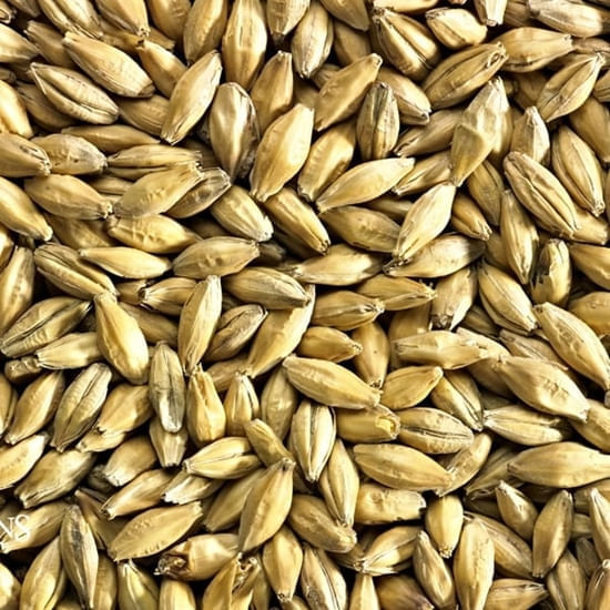 Simpsons Finest Lager Malt 55 lb