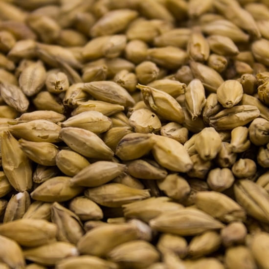 Weyermann ® Barke ® Pilsner 55 lb