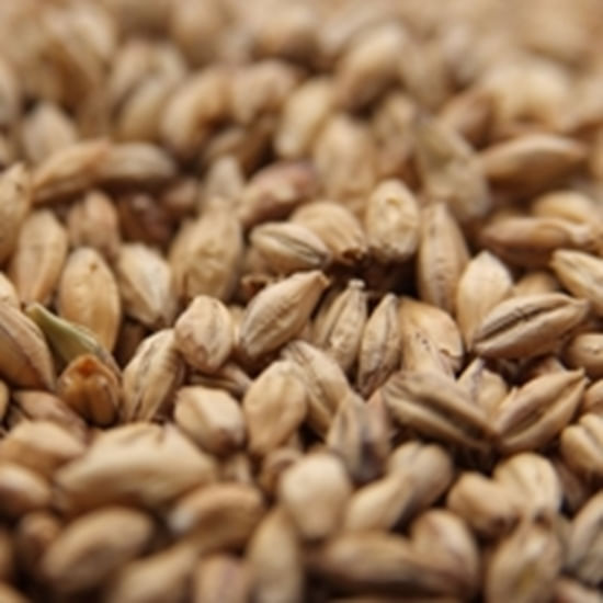 Weyermann ® Brewing Malt (Type Cologne) 55 lb