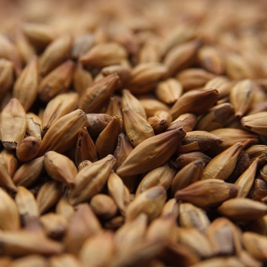 Weyermann ® Caramunich ® Type 1 55 lb