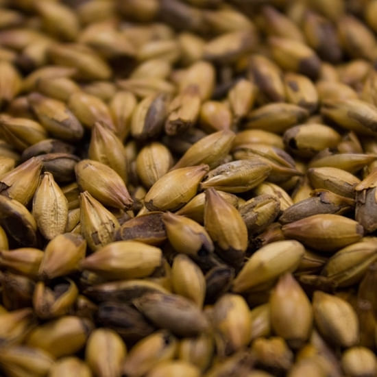 Weyermann ® Special W ® 55 lb