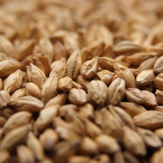 Weyermann ® Carafoam ® 55 lb