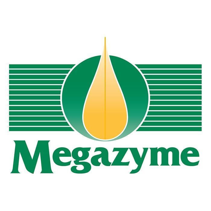 Total Starch Assay Kit (AA/AMG)