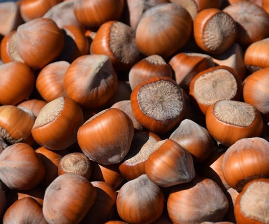 Kerry Natural Hazelnut Flavoring 5 gal