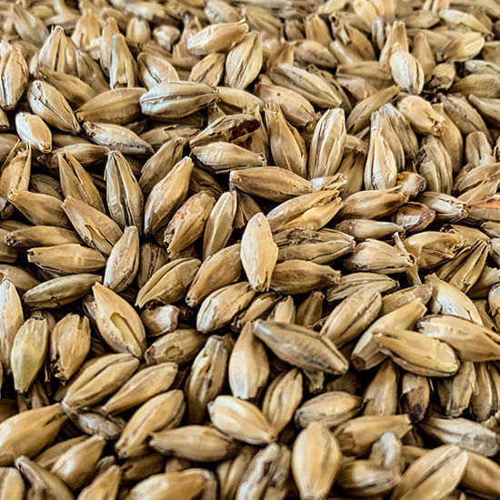 Weyermann ® Isaria 1924 ® 55 lb