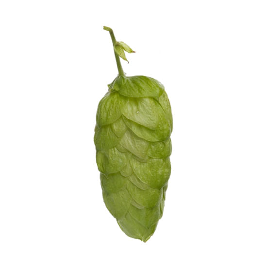 Dr. Rudi (Super Alpha) 11 lb