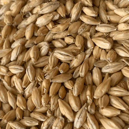 Rahr To Thee Pils ™ 55 lb