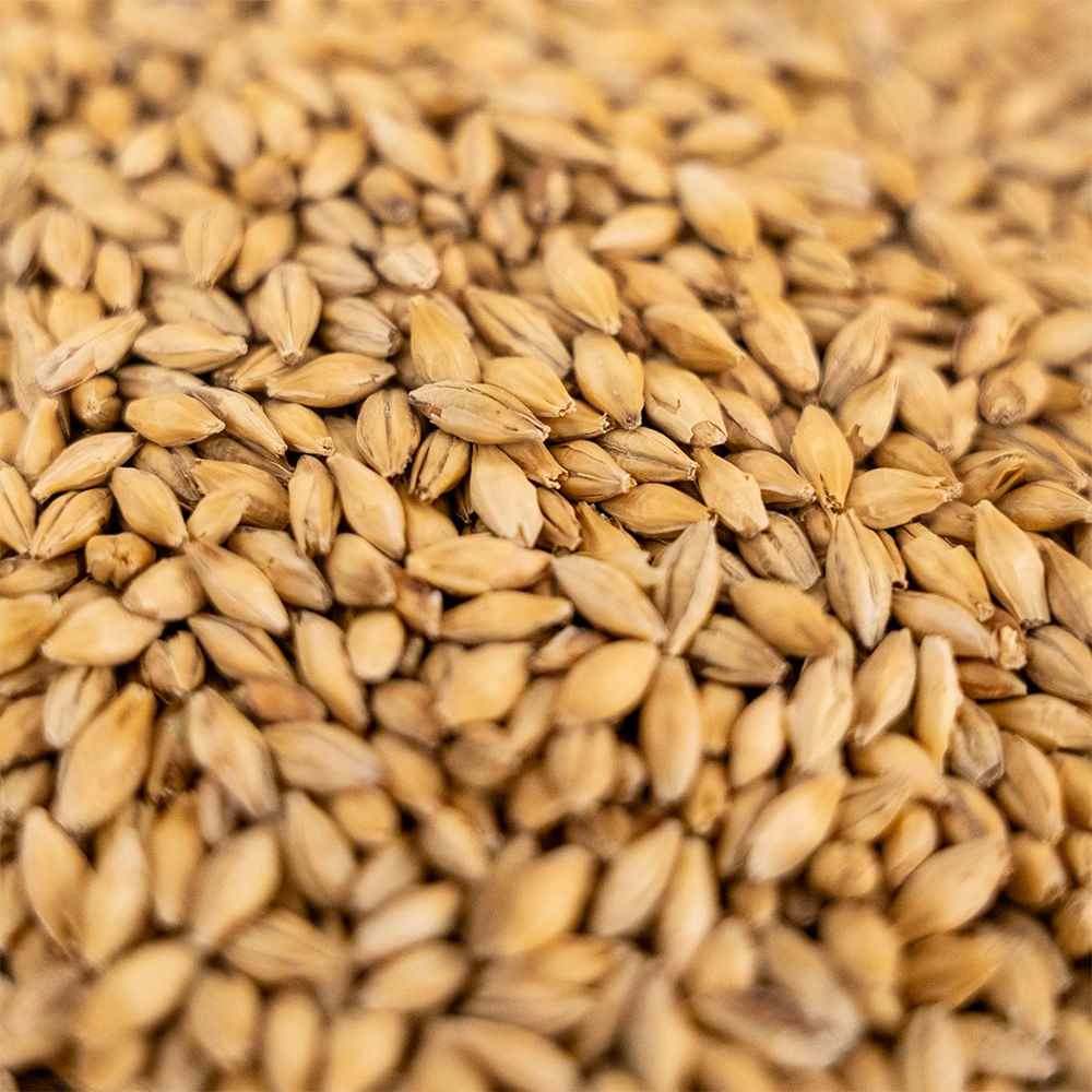 Ultra Dingemans Pils™ 55 lb